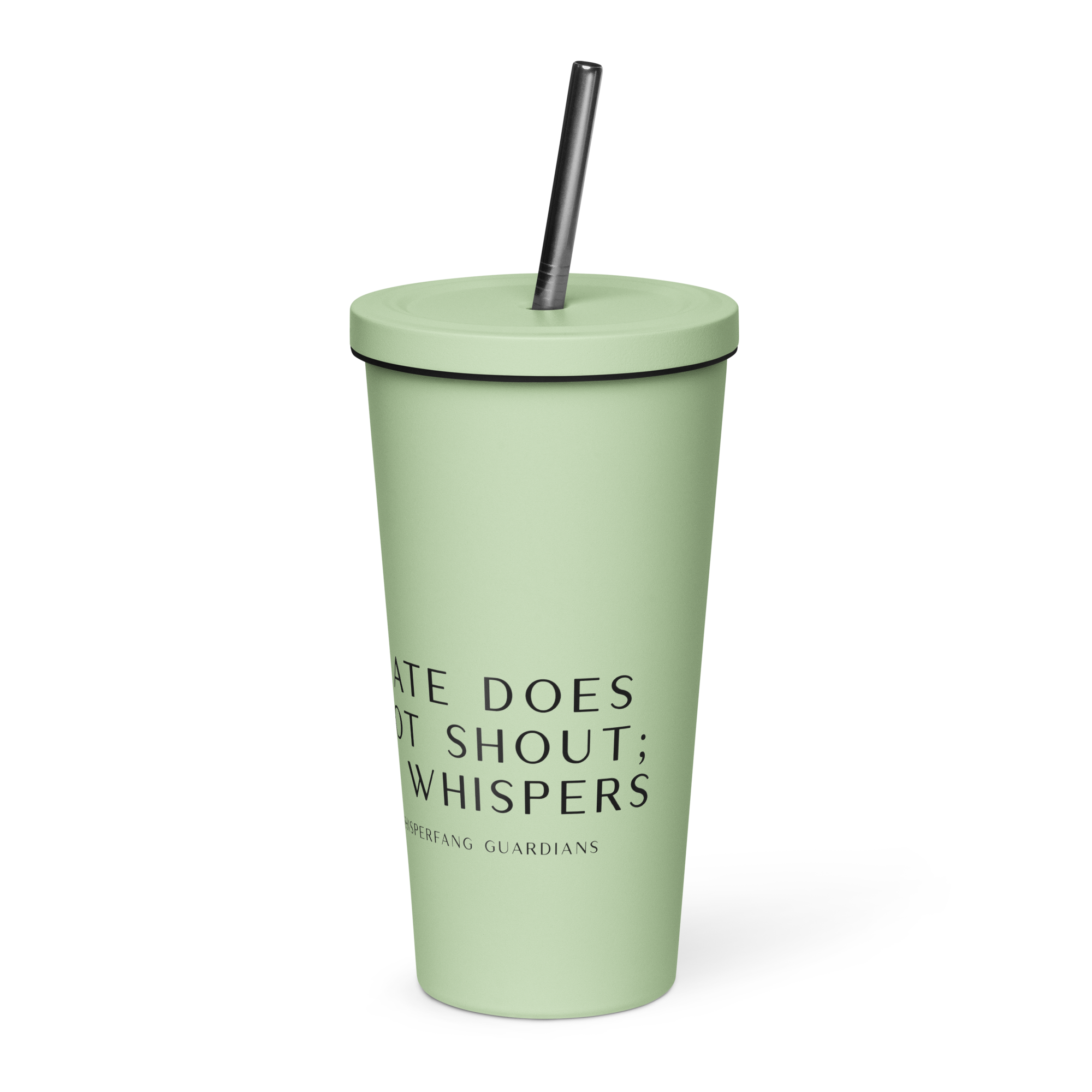 Insulated Tumbler with Straw