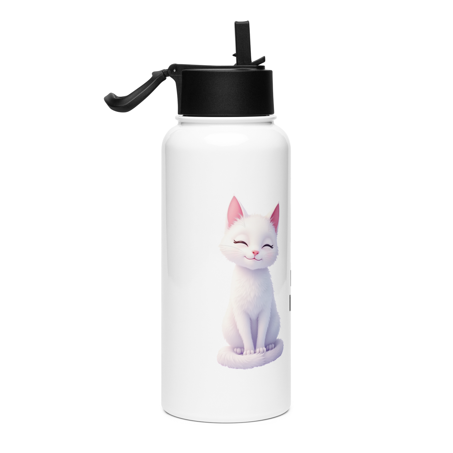 Claudia Stainless Steel Water Bottle with a Straw Lid