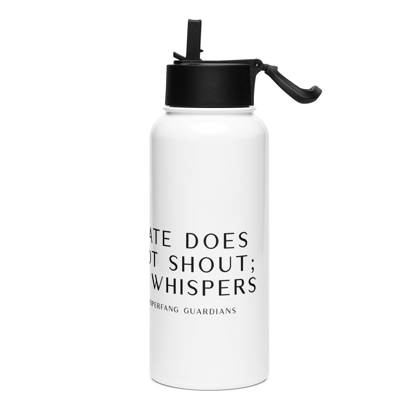 Claudia Stainless Steel Water Bottle with a Straw Lid