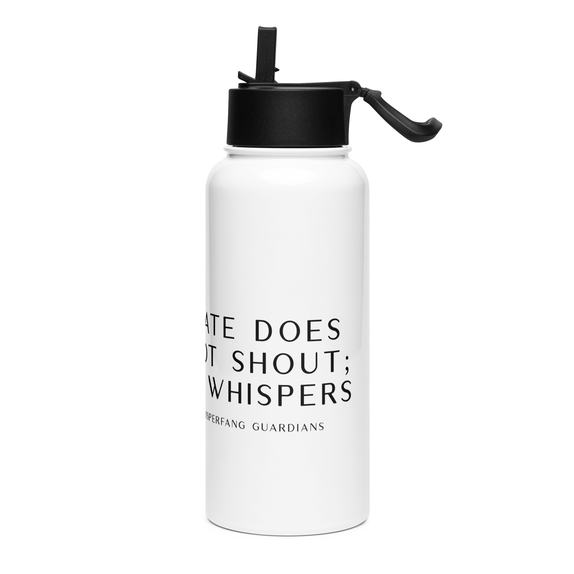 Claudia Stainless Steel Water Bottle with a Straw Lid